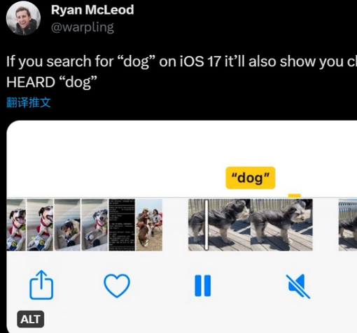 海陵apple维修店分享通过关键字搜索iPhone视频内声音 
