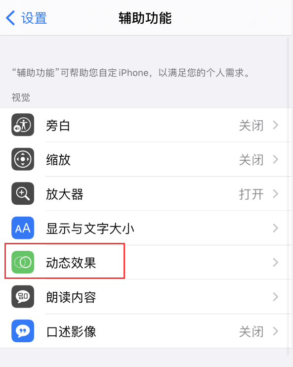 海陵苹果手机维修分享iPhone 12 退出应用时没有动画显示，如何设置 